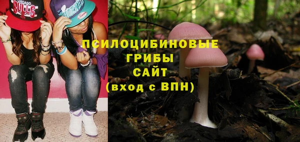 мдма Богородск