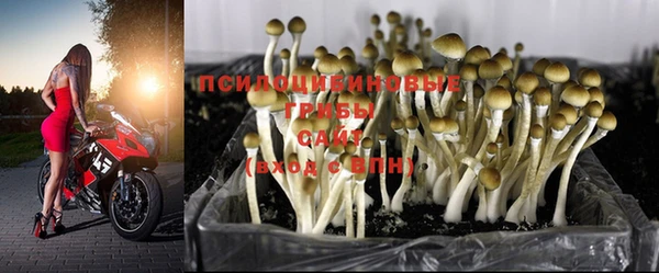 Альфа ПВП Богданович