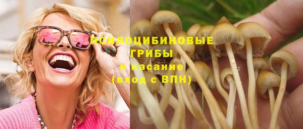 СК Богородицк