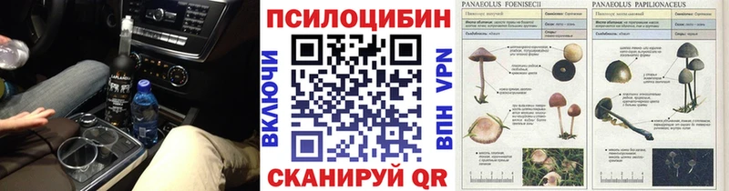 хочу Верхоянск Галлюциногенные грибы ЛСД